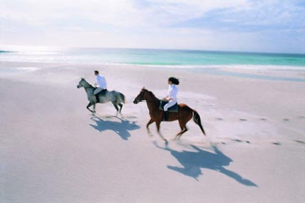 on the beach with horses